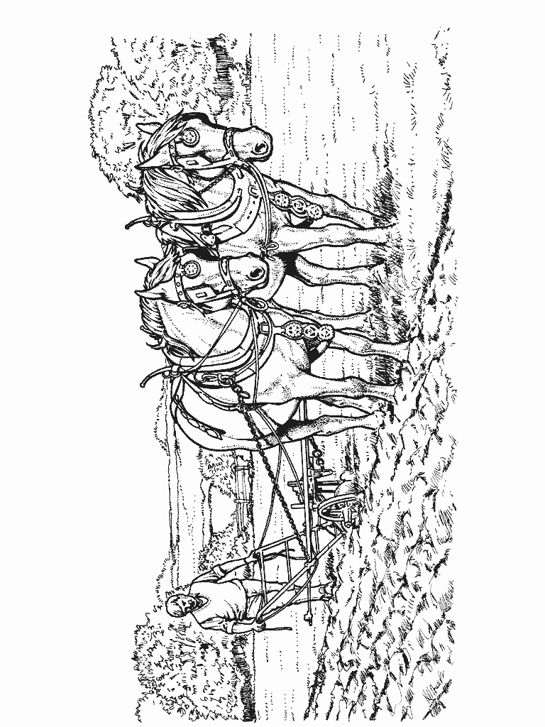 coloriage-cheval-image-animee-0034