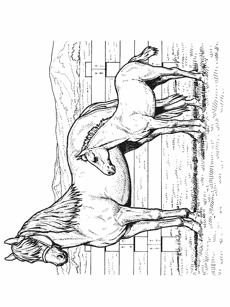 coloriage-cheval-image-animee-0042