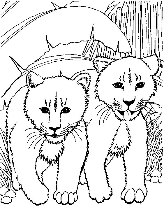 coloriage-lion-image-animee-0002