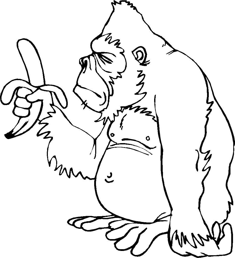 coloriage-singe-image-animee-0008