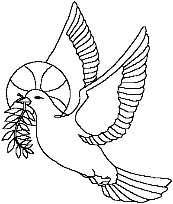 coloriage-pigeon-image-animee-0012