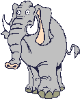 elephant-image-animee-0006