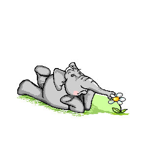 elephant-image-animee-0086