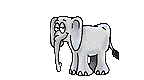 elephant-image-animee-0304