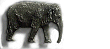 elephant-image-animee-0320