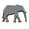 elephant-image-animee-0323