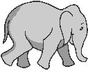 elephant-image-animee-0331