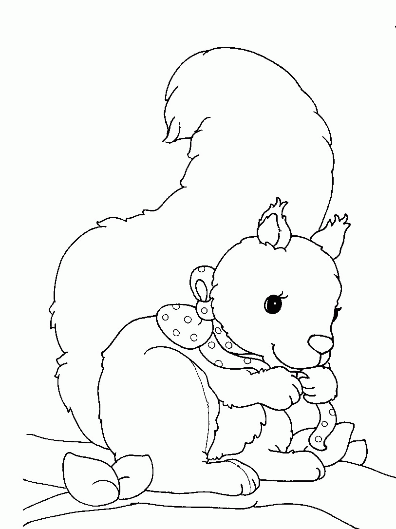 coloriage-ecureuil-image-animee-0016