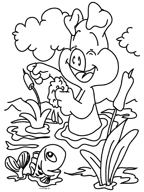 coloriage-animal-image-animee-0018