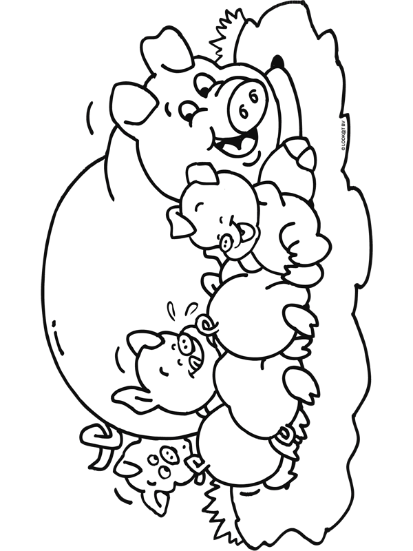 coloriage-animal-image-animee-0040