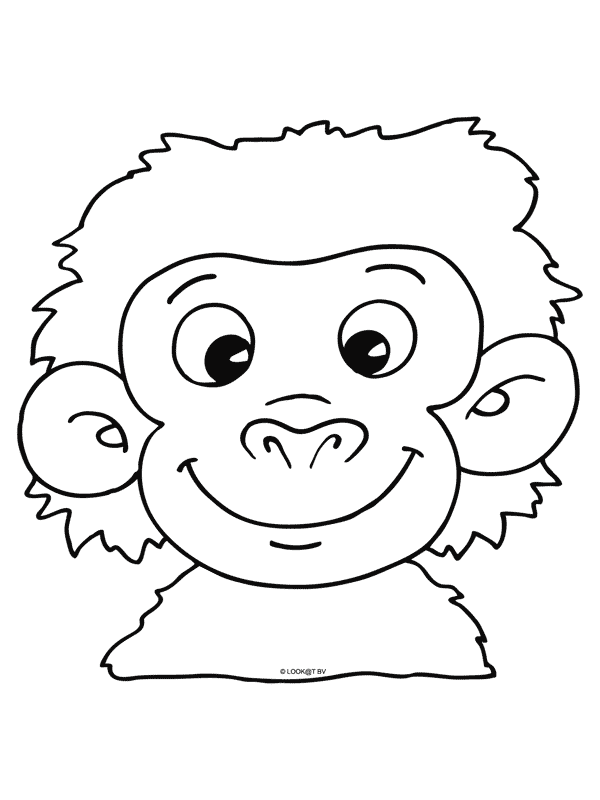 coloriage-animal-image-animee-0138