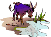 ane-et-baudet-image-animee-0074