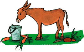 ane-et-baudet-image-animee-0086