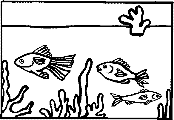 coloriage-aquarium-image-animee-0022