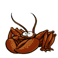 crabe-image-animee-0077