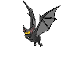 chauve-souris-image-animee-0062
