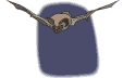 chauve-souris-image-animee-0072