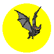 chauve-souris-image-animee-0079