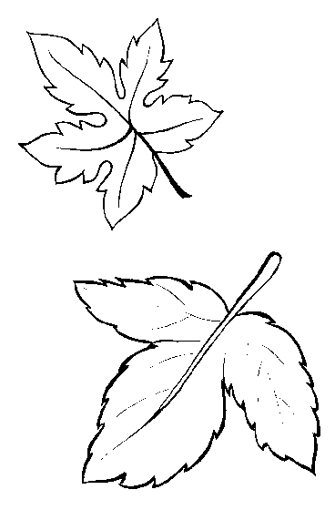 coloriage-feuille-image-animee-0004