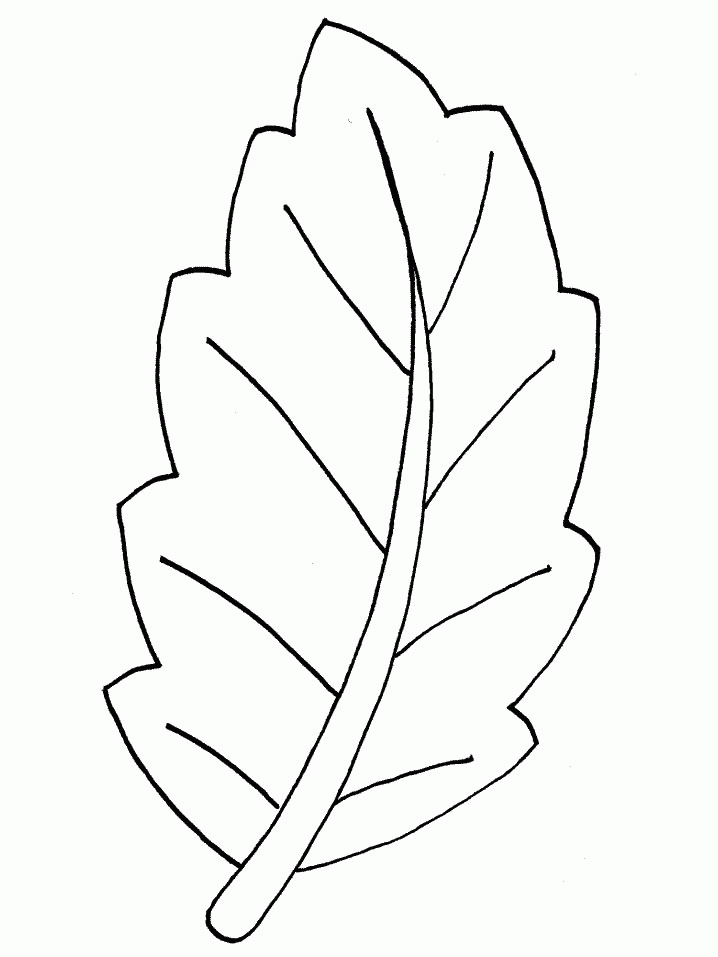 coloriage-feuille-image-animee-0016