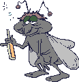 mouche-image-animee-0036