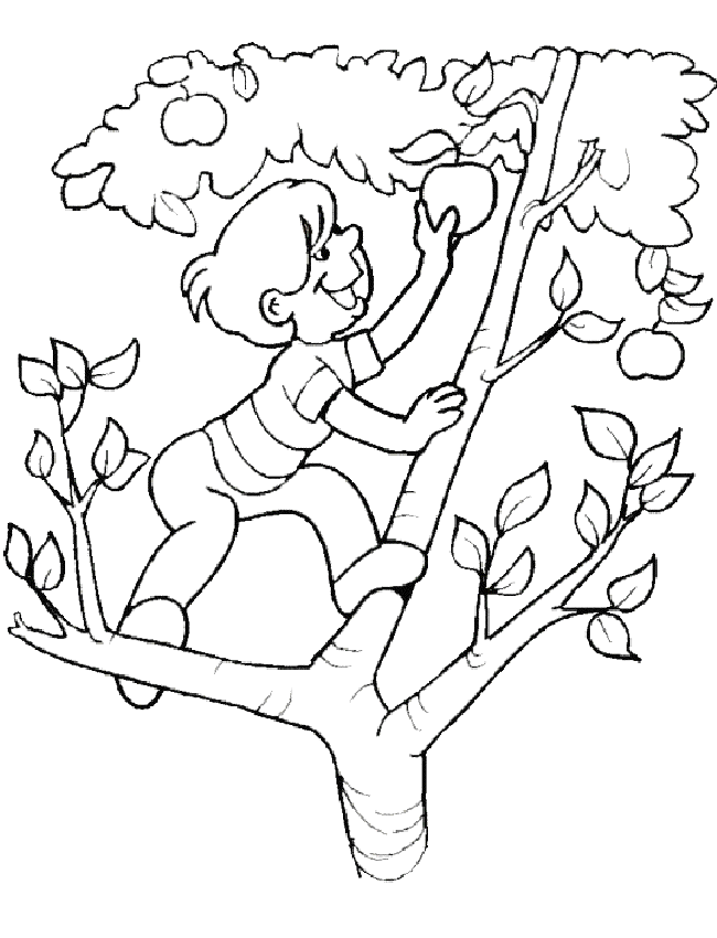 coloriage-ete-image-animee-0033