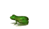 grenouille-image-animee-0222