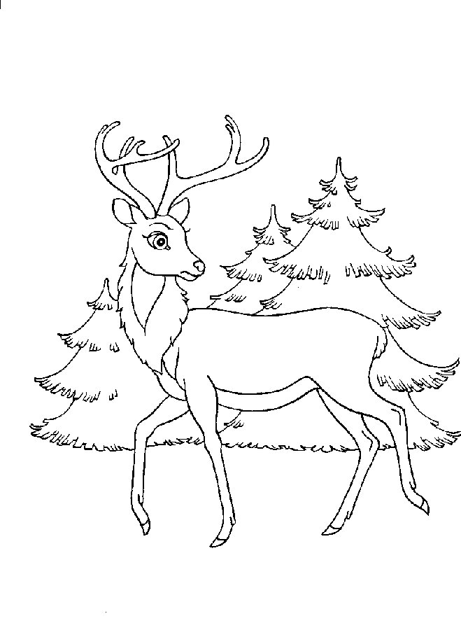 coloriage-bambi-image-animee-0025