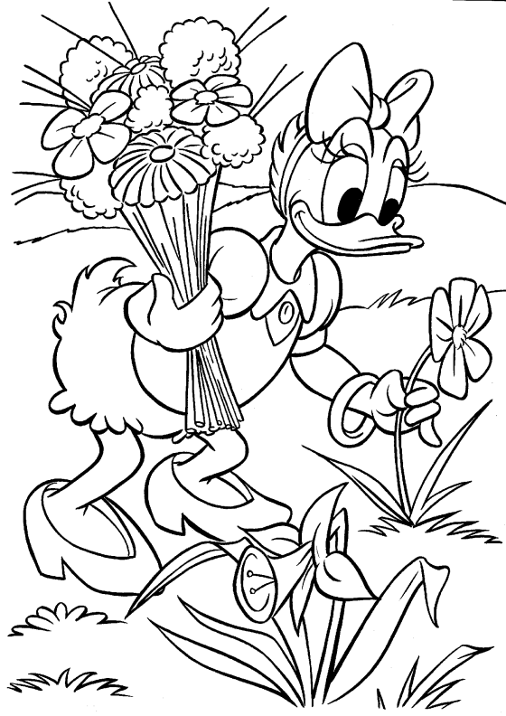 coloriage-daisy-duck-image-animee-0011