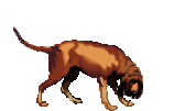 chien-image-animee-0153