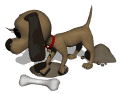chien-image-animee-0155