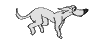 chien-image-animee-0164