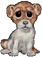 chien-image-animee-0219