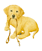 chien-image-animee-0221
