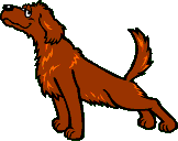 chien-image-animee-0225