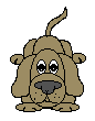 chien-image-animee-0631