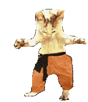 chat-image-animee-0155