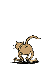 chat-image-animee-0383