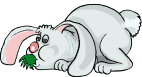 chat-image-animee-0454