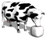 vache-image-animee-0172
