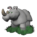 rhinoceros-image-animee-0028