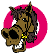 cheval-image-animee-0003