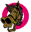 cheval-image-animee-0073