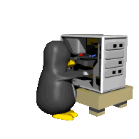 pingouin-image-animee-0008