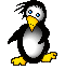 pingouin-image-animee-0120