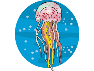 meduse-image-animee-0022