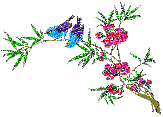 oiseau-image-animee-0719