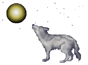 loup-image-animee-0003