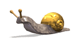 escargot-image-animee-0047