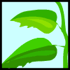 escargot-image-animee-0051